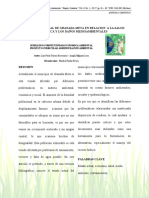 12232-Texto Del Artículo-57628-1-10-20170621 PDF