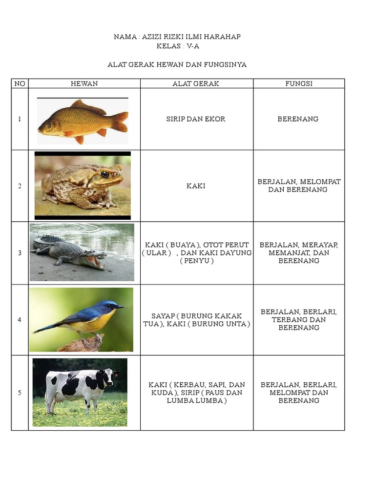  Alat  Gerak  Hewan  Dan  Fungsinya 