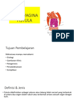 Rectovagina Fistula