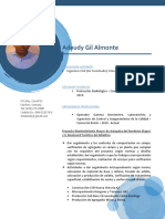 Adeudy Gil Almonte CV.docx