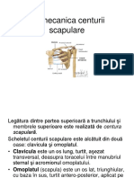 Biomecanica Centurii Scapulare