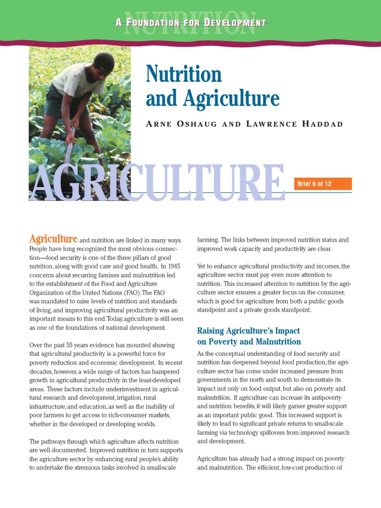 Nutrition Agriculture and Food Secur | PDF | Food Security | Foods