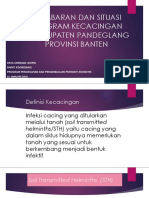 Situasi Cacing Di Banten 2017 - Pdg