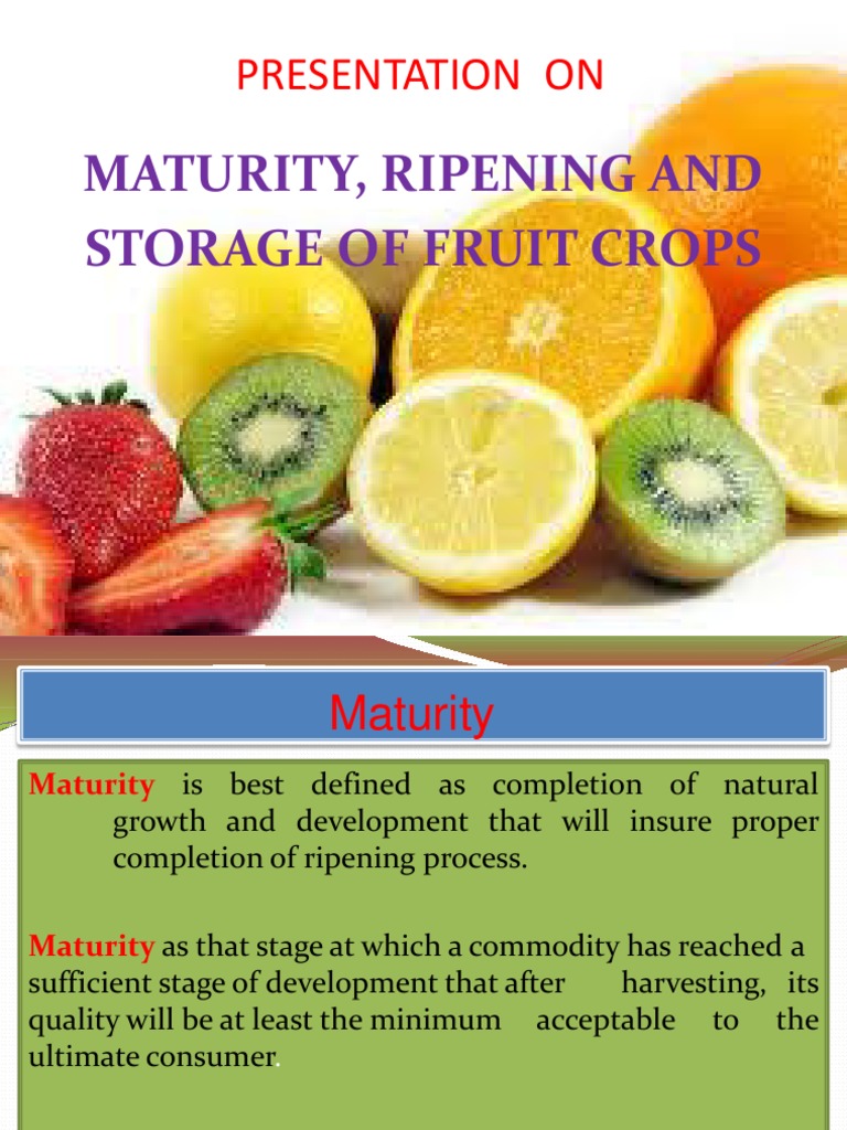 Maturity, Ripening & Storage | PDF | Ethylene | Chemistry