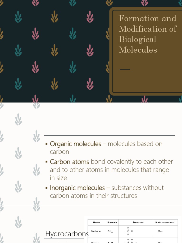 Formation and Modification of Biological Molecules | PDF | Science ...