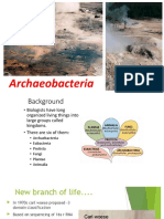 Archaeobacteria Final