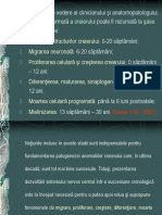 dezvoltare-snc-var-lunga.ppt