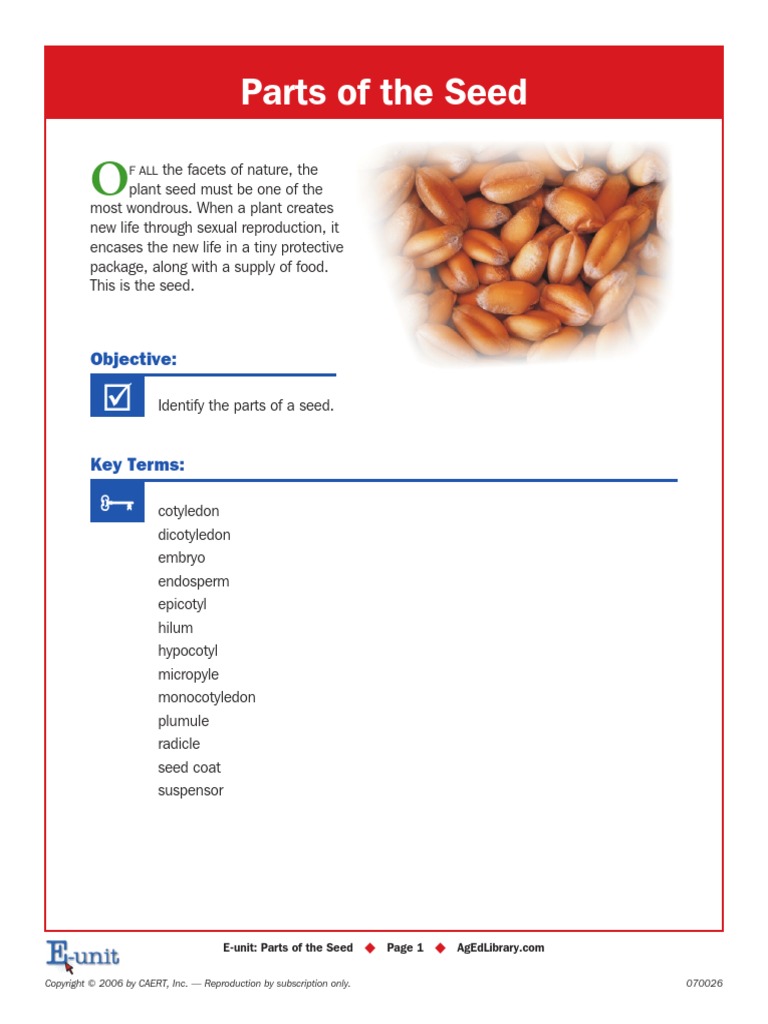 Parts of The Seed: Objective | PDF | Seed | Embryo