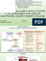 Fisiopatologia Celular