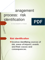 Risk Management Process: Risk Identification