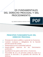Clase 2 Principios Fundamentales Del Derecho Procesal y Del Procedimiento