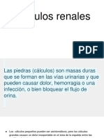 Cálculos renales: causas, síntomas y tratamiento