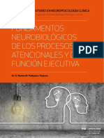 Fundamentos Neurobiologicos
