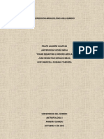 Salida Arqueológica.pdf