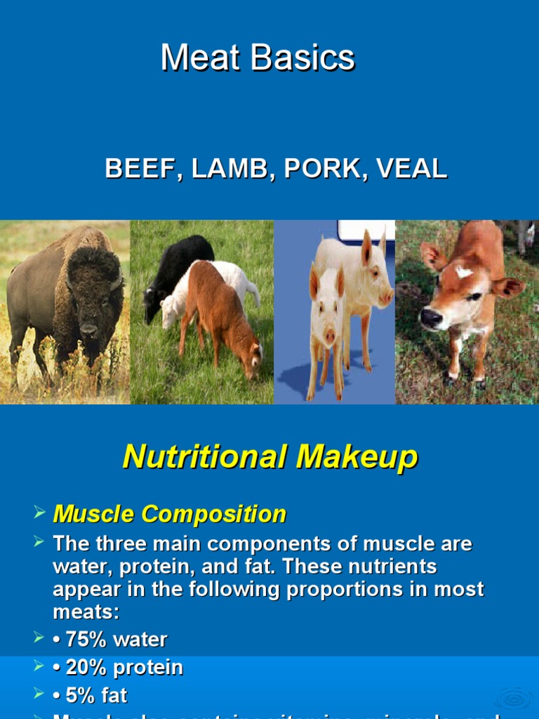 Meat Basics | PDF | Chuck Steak | Beef