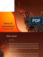Company presentation template overview