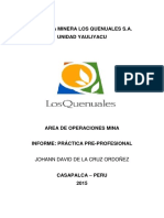 Informe Final Jddo Emqsa Practicas