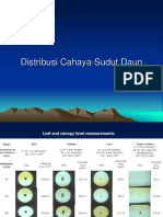 3 Distribusi Cahaya Sudut Daun