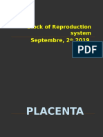 Materi DR - Sihning Placenta Mammae 19-20