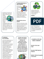 Cuidado Del Medio Ambiente - Triptico