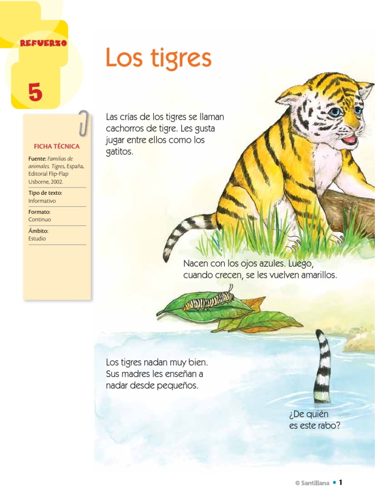 Lindo Personaje Tigre Mascota Animal Salvaje Diferentes Poses Conjunto  Vectorial Vector de stock #548313506 de ©klyaksun, image size:768x1024