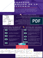 Proceso Metabólico de La Glucosis