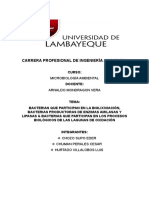 Bacterias que participan en la Biolixiviación y procesos Biológicos en las lagunas de oxidación.docx