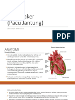 Pacemaker 01