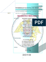 Diabetes Mellitus Informe (1)