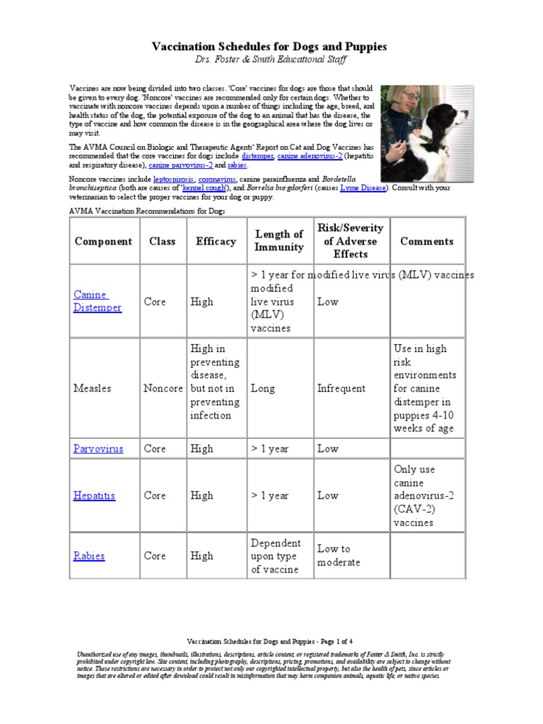 Vaccination Schedules for Dogs and Puppies | Vaccines | Public Health