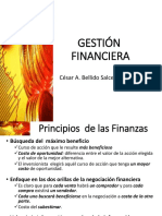 Gestion Financiera