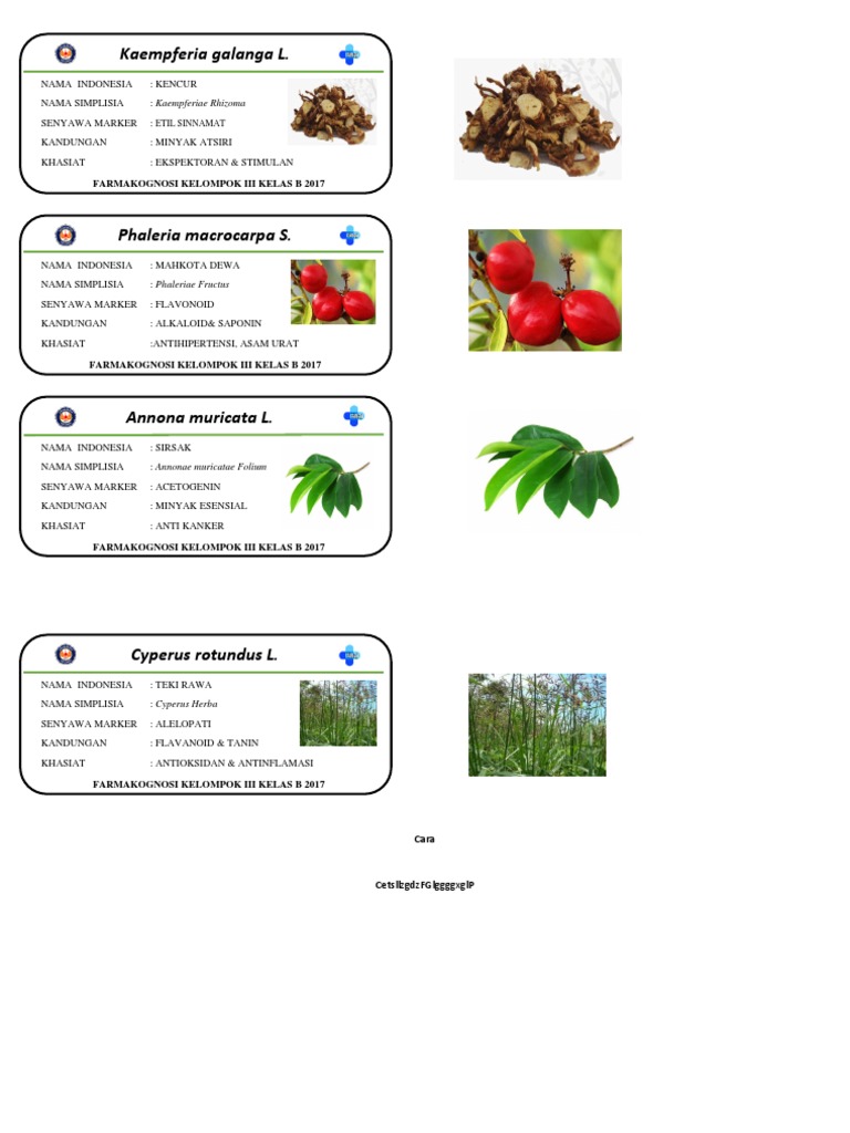 Etiket Simplisia-1 | PDF | Griya & Taman | Kesehatan Holistik