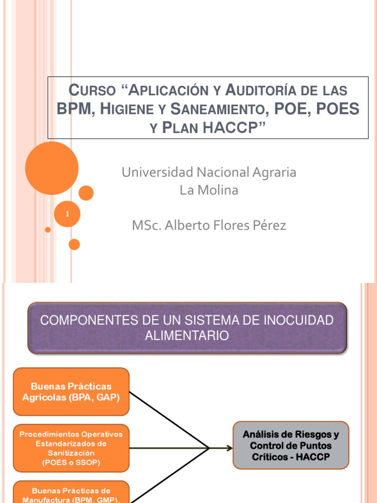 Curso de Inocuidad Alimentaria y HACCP | PDF | Análisis de Riesgo y ...