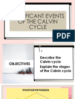 Significant Events of The Calvin Cycle