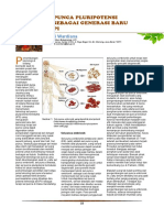 Potensi Sel Punca Pluripotensi Terinduksi Sebagai Generasi Baru Untuk Terapi