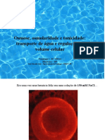 Osmose, Osmolaridade e Tonicidade: Transporte de Água e Regulação Do Volume Celular - Prof. Ricardo Leão FMRP-USP