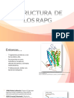 Estructura de Los RAPG