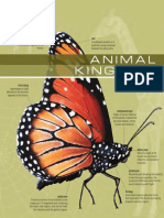The Visual Dictionary of Animal Kingdom.pdf