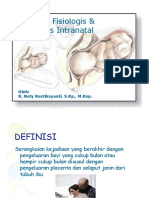 Adaptasi-Intranatal.pdf