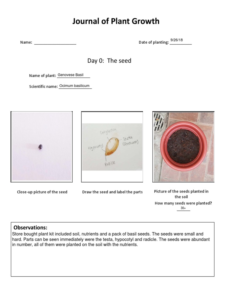 Plant Journal | PDF | Basil | Seedling