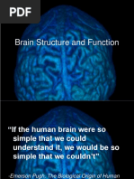 Brain Structure and Function