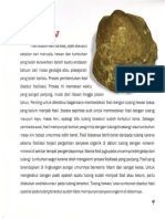 Mengenal Fosil PDF