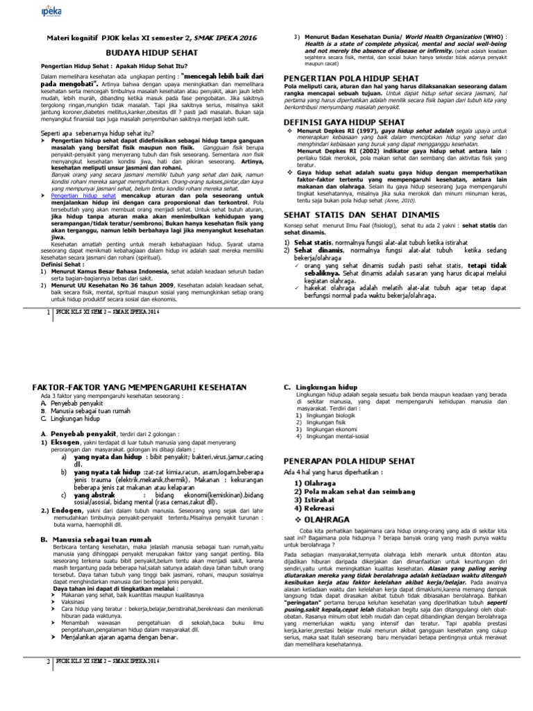 Materi Pjok Kls Xi Sem 2 2016 Pola Hidup Sehat Ok 1