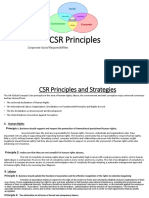 CSR Principles.pptx
