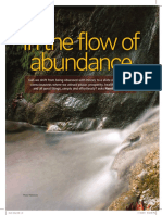 The Flow of Abundance