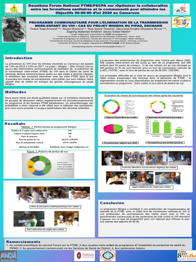Programme Communautaire Mingha De Facilitation De La Ptme Au Cameroun Pdf Epidemiologie Specialites Medicales