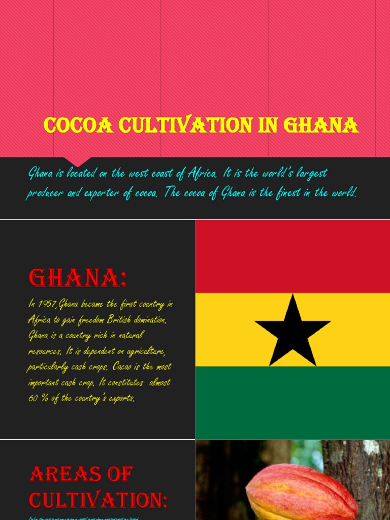 Cocoa Cultivation in Ghana PDF Cocoa Bean Ghana