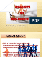 Module 3 Social Groups & Social Organizations