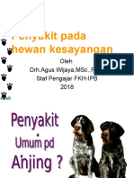 Mei2018 (TatapMuka3-4) Penyakit PD Hewan kesayanganAGW