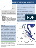 Indonesia Tsunami Fact Sheet